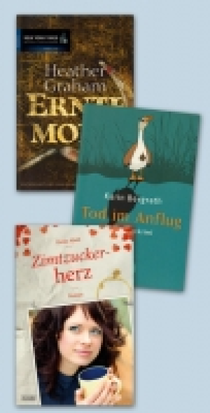 Taschenbuch 2.99 €