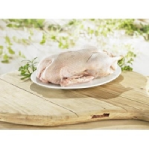 Fine Food Finestro Barbarie Ente 5.99 €