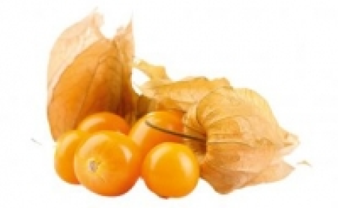 Physalis 0.88 €