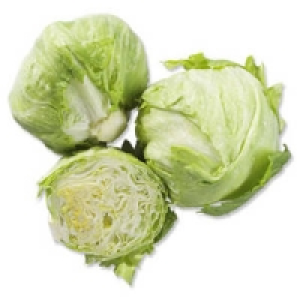 Spanien Eisbergsalat 0.79&nbsp;&euro;