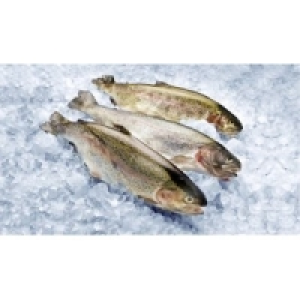 Forelle 6.99 €