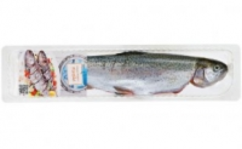 Regenbogenforelle 0.89 €