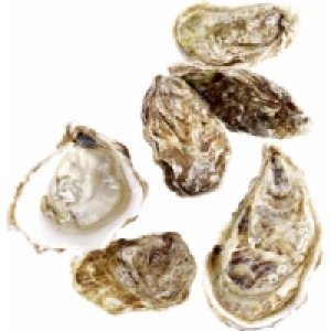 Felsenauster Fine de Claire Nr.2 0.79&nbsp;&euro;