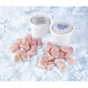 MSC Kammmuschelfleisch 29.99 €