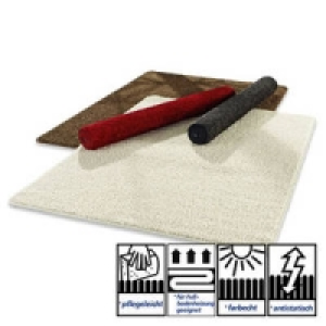 Hochflor-Teppich 29.95&nbsp;&euro;