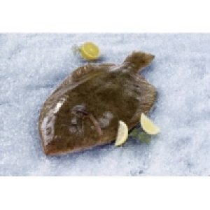 Glattbutt 12.99&nbsp;&euro;