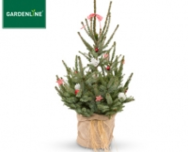 GARDENLINE®Weihnachtsbaum 14.99 €