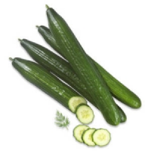 Spanien Salatgurken 0.39&nbsp;&euro;