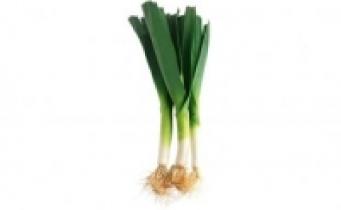 Lauch 0.99 €