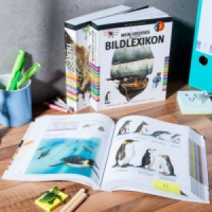 Bildwörterbuch 7.99 €