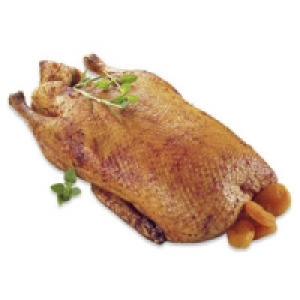 Frische Junge Ente 5.99 €