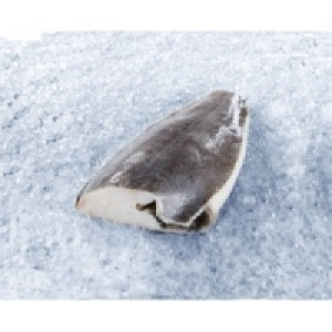 Heilbutt Schwarz 10.99&nbsp;&euro;