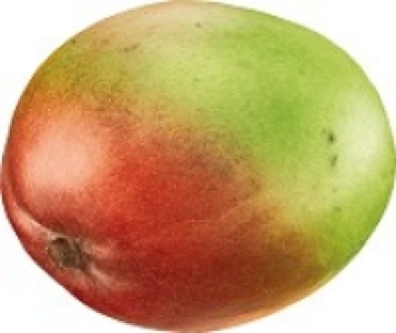 Mango 2.69 €
