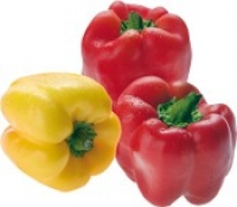 Paprika rot oder gelb 3.99 €