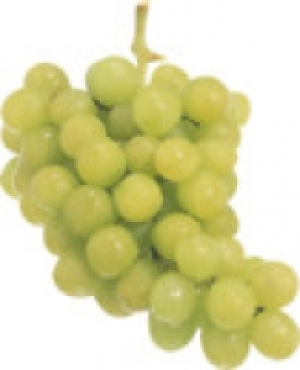 Trauben hell, rot 3.99 €