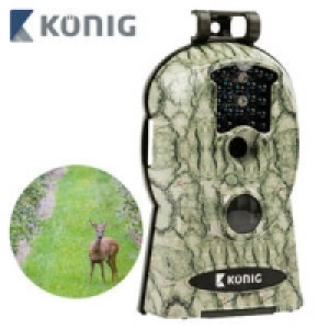 Wild-Überwachungskamera SAS-DVRODR10 89.95 €