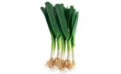 Lauch 0.99 €