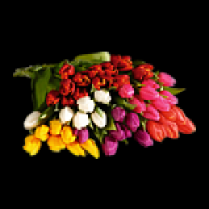 Tulpenstrau&szlig; 1.79&nbsp;&euro;