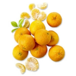 Spanien Clementinen Nadorcott