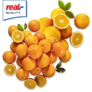 Spanien Orangen oder Saftorangen