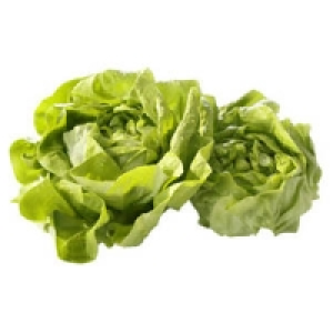 Italien Kopfsalat