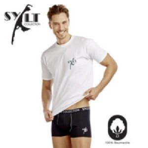 Herren-Shirts 12.99&nbsp;&euro;