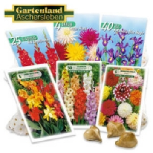 Blumenzwiebeln 1.49 €