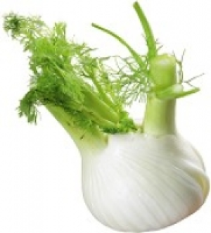 Fenchel 2.29 €