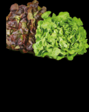 Blattsalate 1.37 €