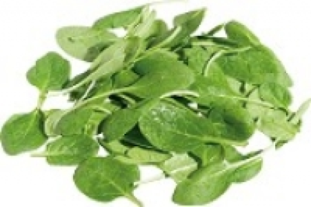 Babyspinat 1.99 €