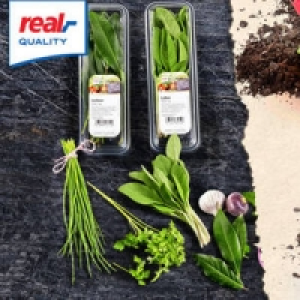 Küchenkräuter 0.99 €
