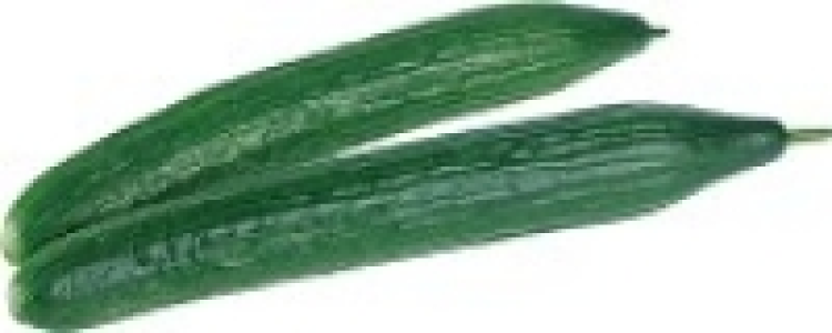 Schlangengurke 0.99 €