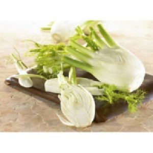 Fenchel 0.99 €