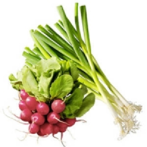 Italien/Deutschland Radieschen oder Lauchzwiebeln 0.59&nbsp;&euro;