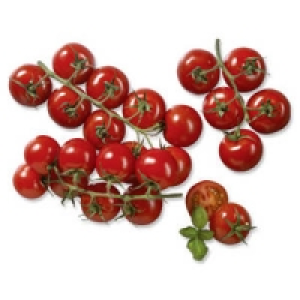 Italien/Senegal Rispencocktailtomaten 1.00&nbsp;&euro;