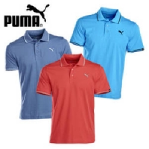 Poloshirt 15.00 €
