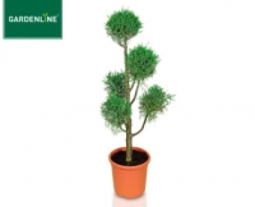 GARDENLINE®Pflanze im Formschnitt