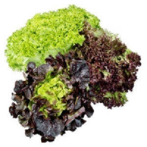 Deutschland Bunte Salate 0.99&nbsp;&euro;