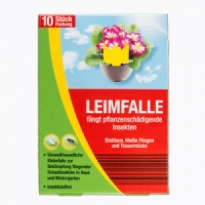 Leimfalle 3.99 €