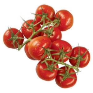 Spanien/Niederlande Rispentomaten 1.88 €