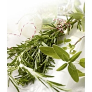 Frische Kräuter 1.19 €