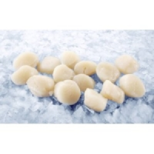 MSC Kammmuschelfleisch 27.99 €