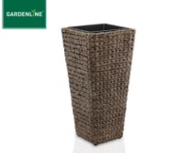 GARDENLINE®Pflanzensäule Wasserhyazinthe 15.99 €
