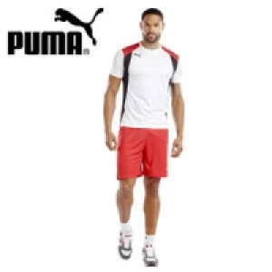 Trikot 14.99&nbsp;&euro;