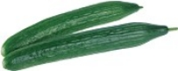 Schlangengurke 1.29 €