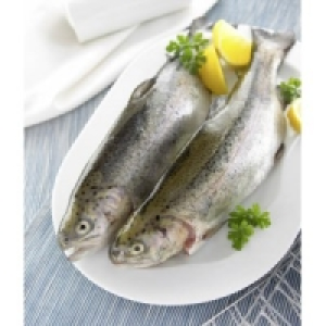 Regenbogenforelle 7.99 €