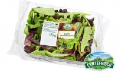 Bunte Salatmischung 0.79&nbsp;&euro;