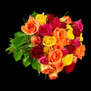 Fairtrade Rosen 3.79 €