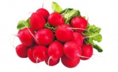 Radieschen 0.49 €