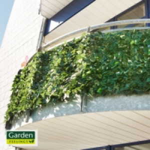 Aldi Nord Garden Feelings® Sichtschutzhecke